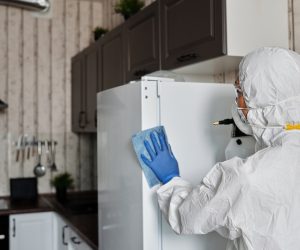 The Significance of NEBB Certification in Cleanroom Testing in Singapore